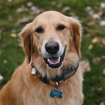 Gordon (aka Booster)