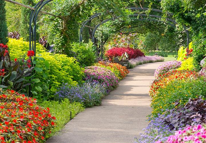 Picture of Cheekwood Gardens