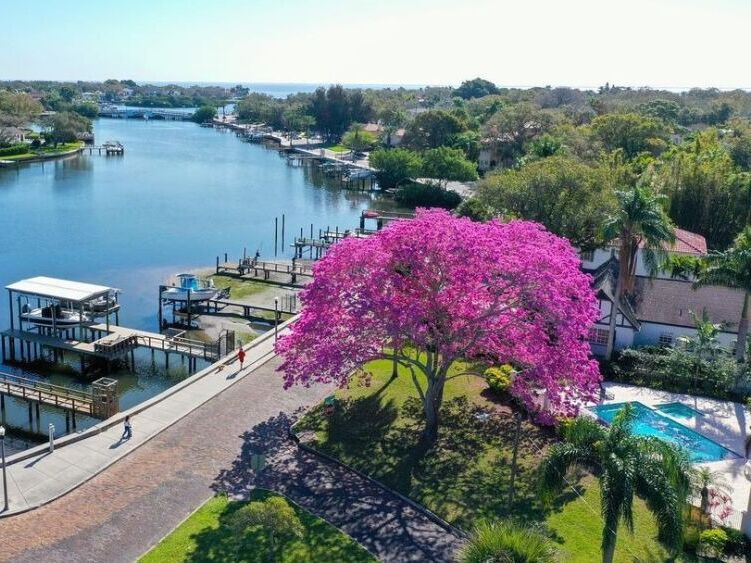 Picture of Coffeepot Bayou