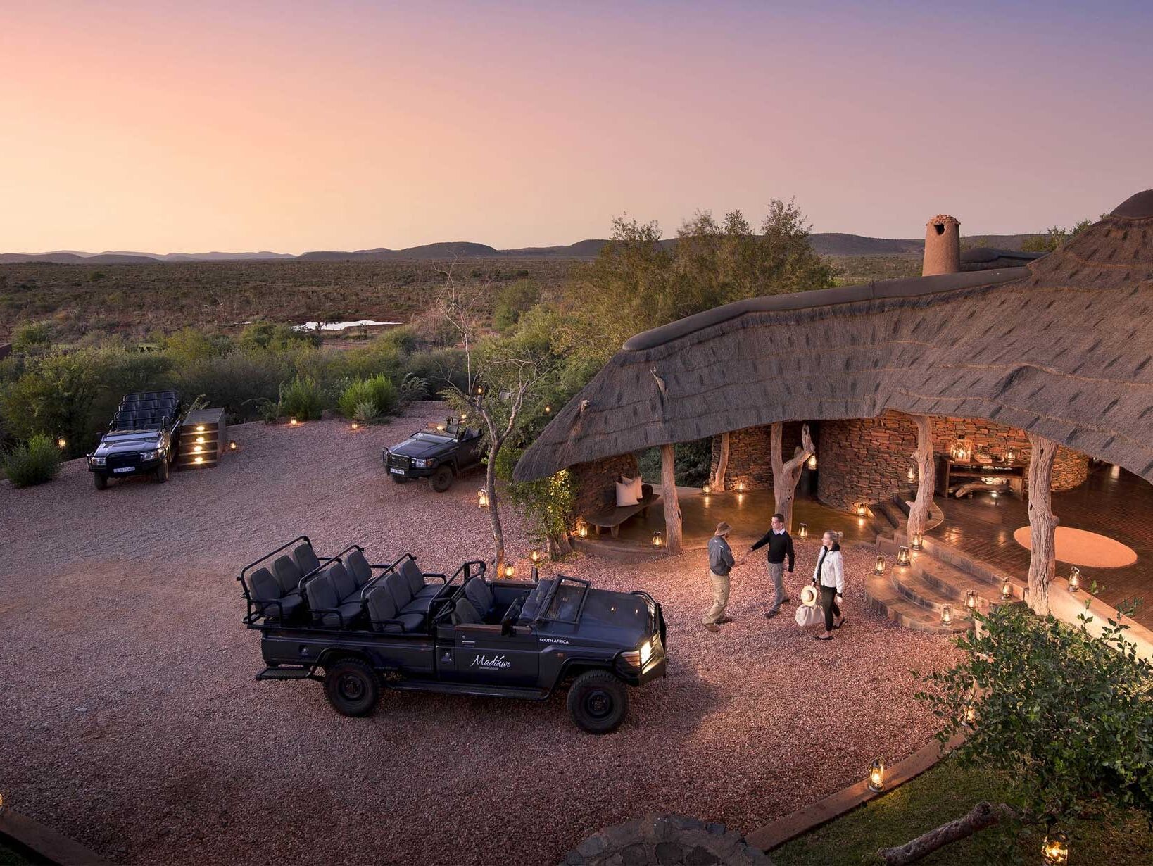 Picture of Safari