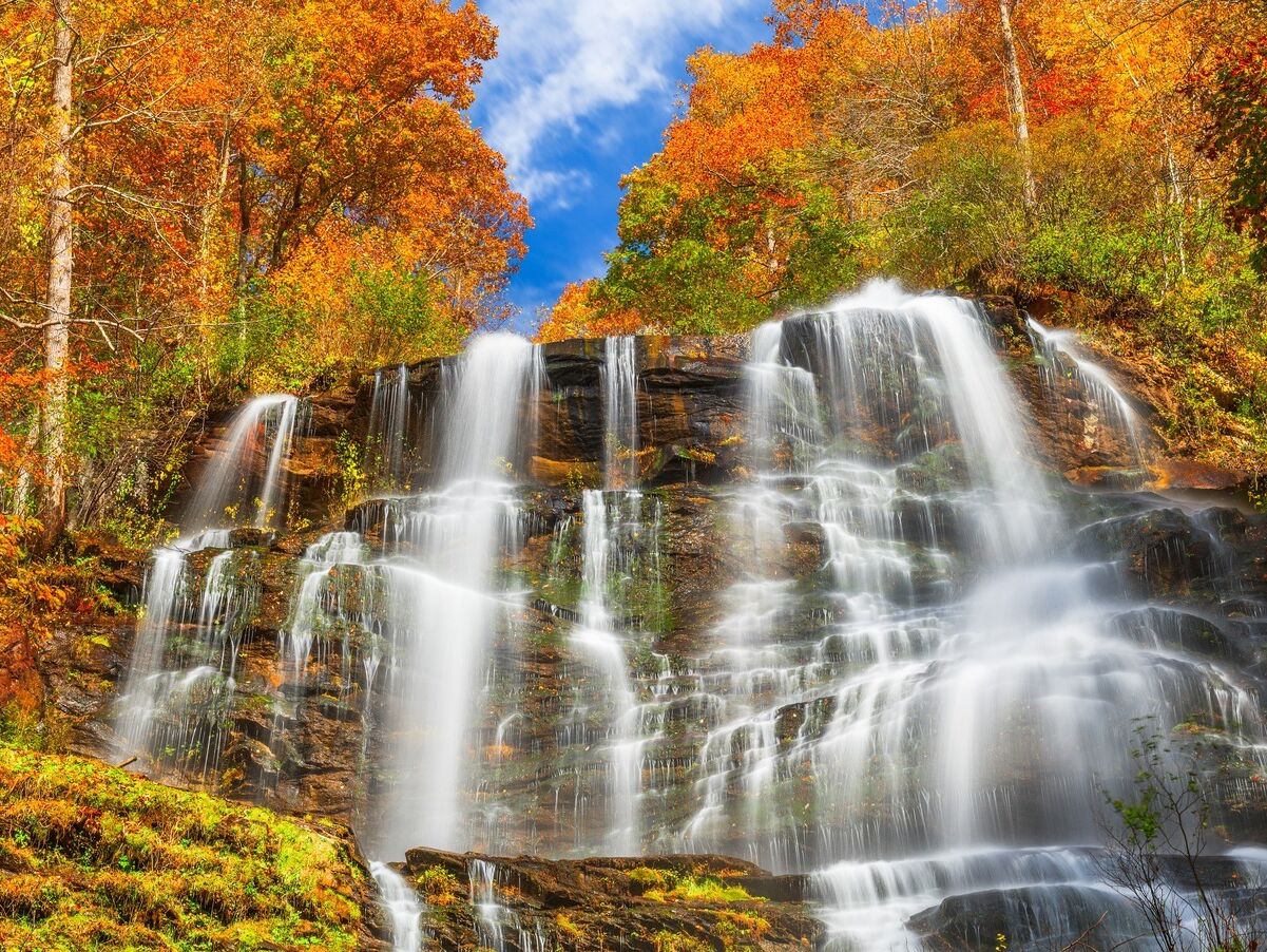 Picture of Amicalola Falls State Park