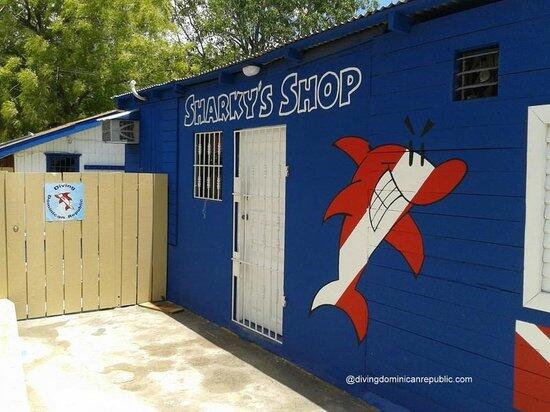 Picture of Sharky's Shop - Diving Dominican Republic
