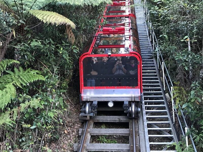 Picture of Scenic World