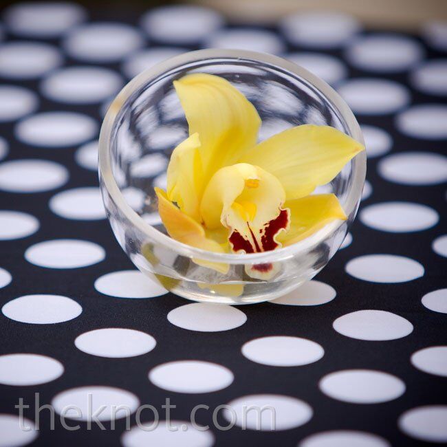 Small Yellow Orchid Centerpiece