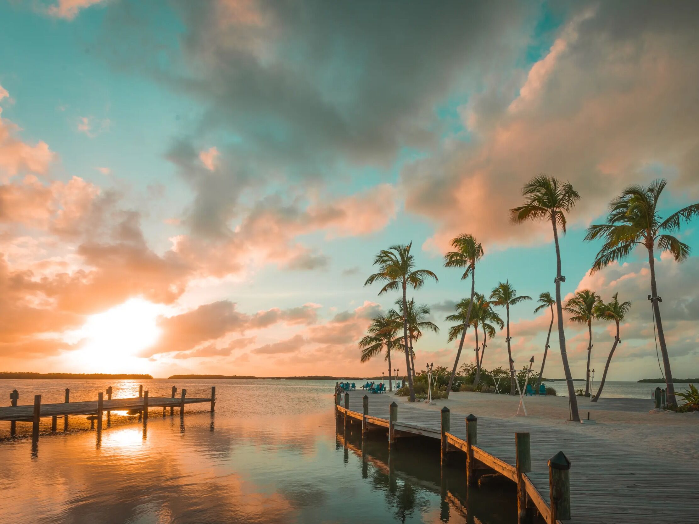 Picture of Sunset Cruise or Nature Tours