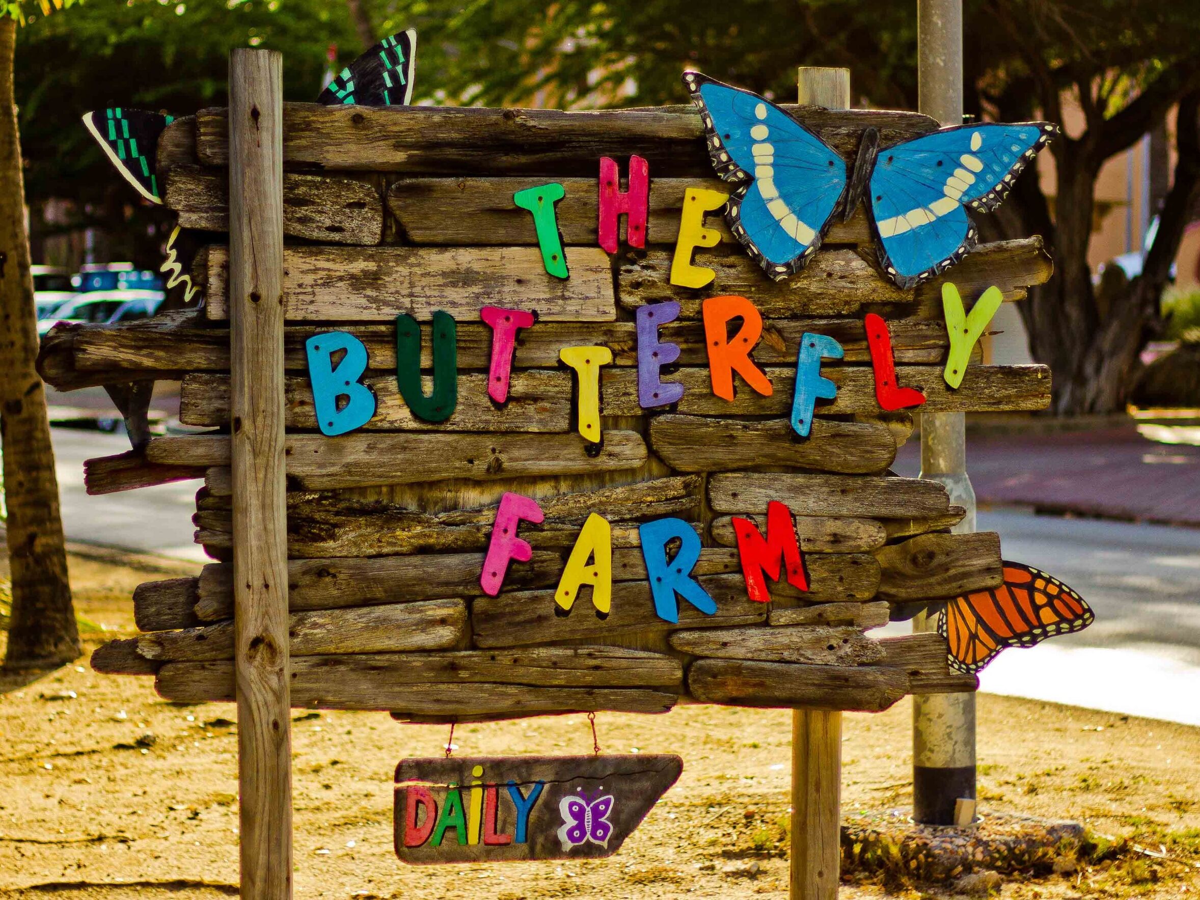 Picture of Butterfly Farm