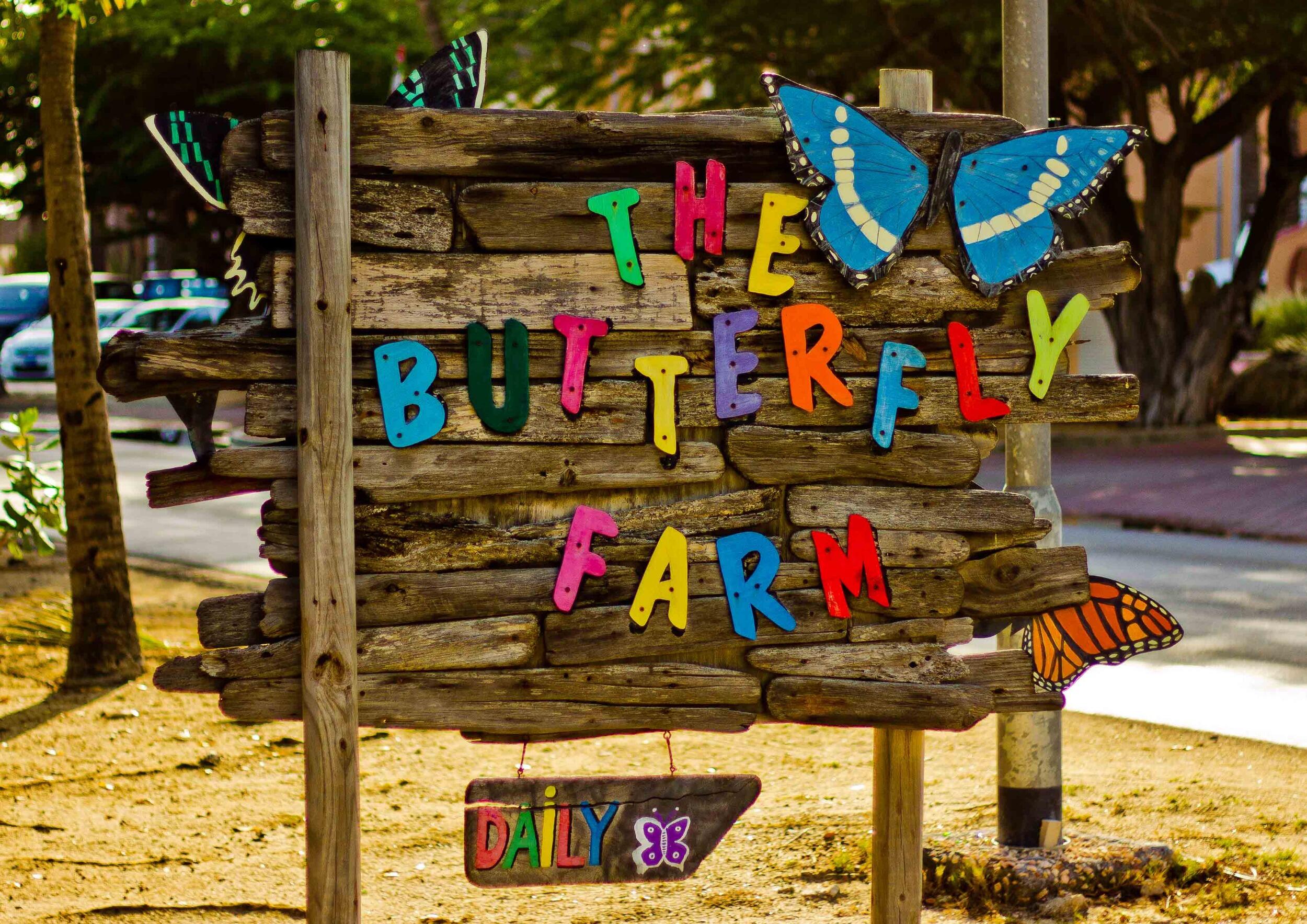 Picture of Butterfly Farm