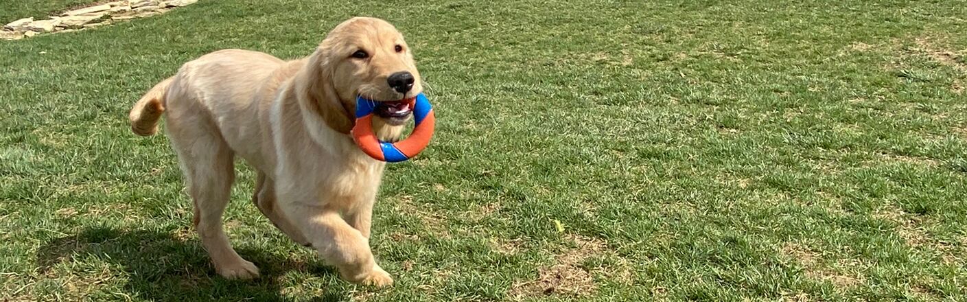 Picture of Oakley!