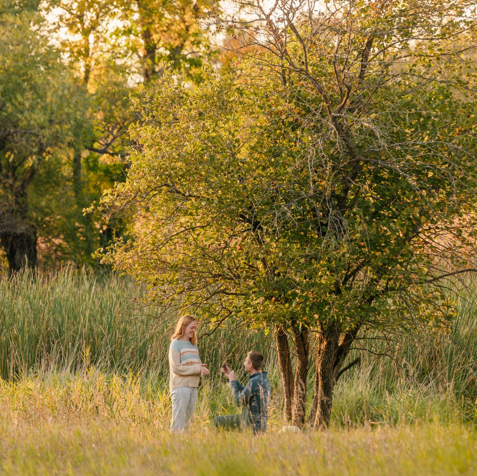 Picture of Proposal Story