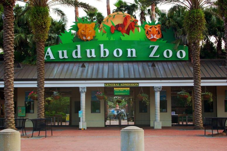 Picture of Audubon Zoo