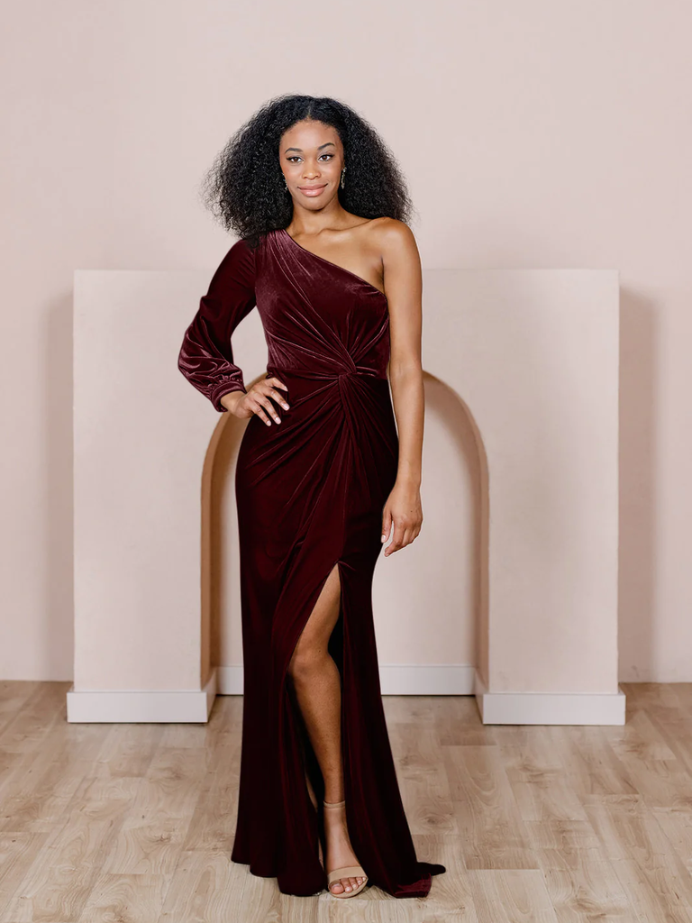Aurora Velvet Dress
