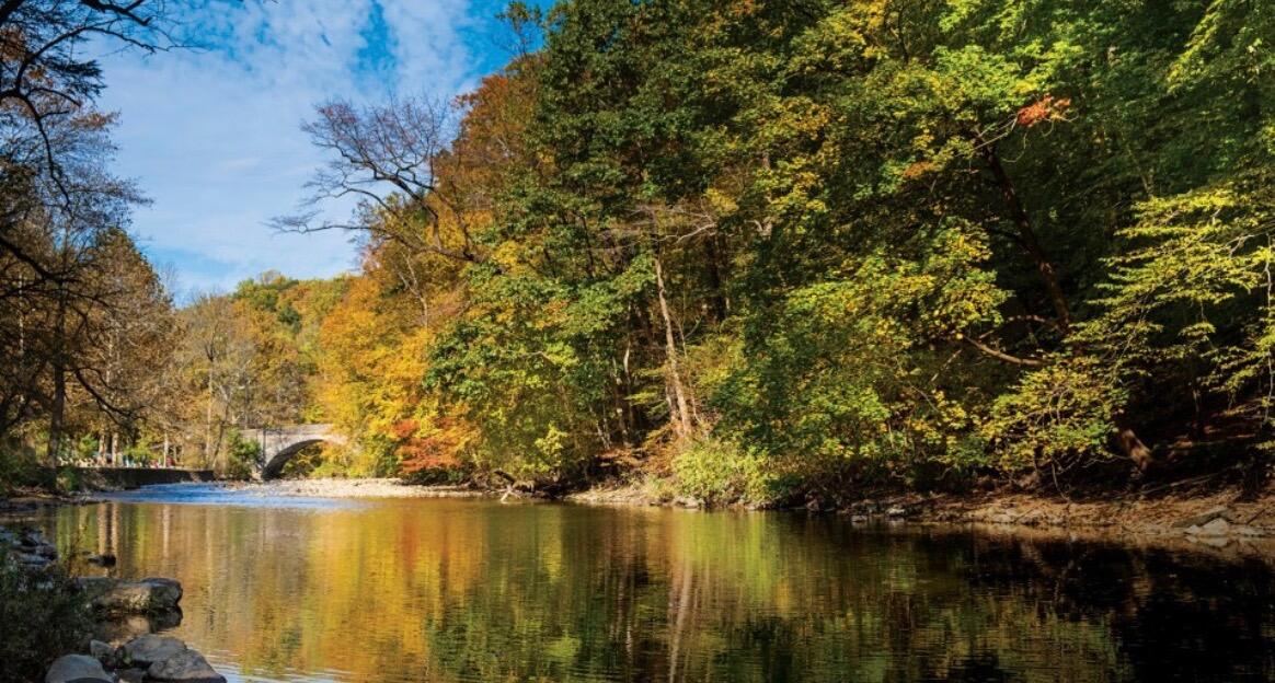Picture of Wissahickon Valley Park