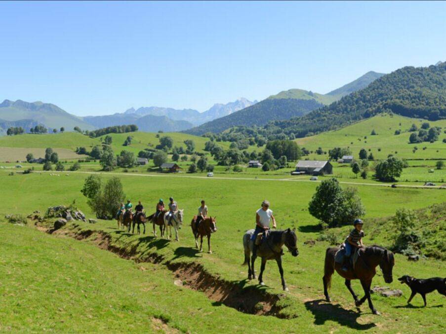 Picture of Horseback riding in Biel