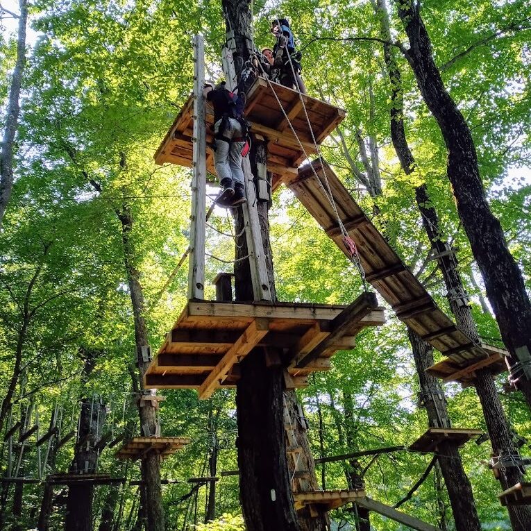 Picture of Catamount Aerial Adventure Park