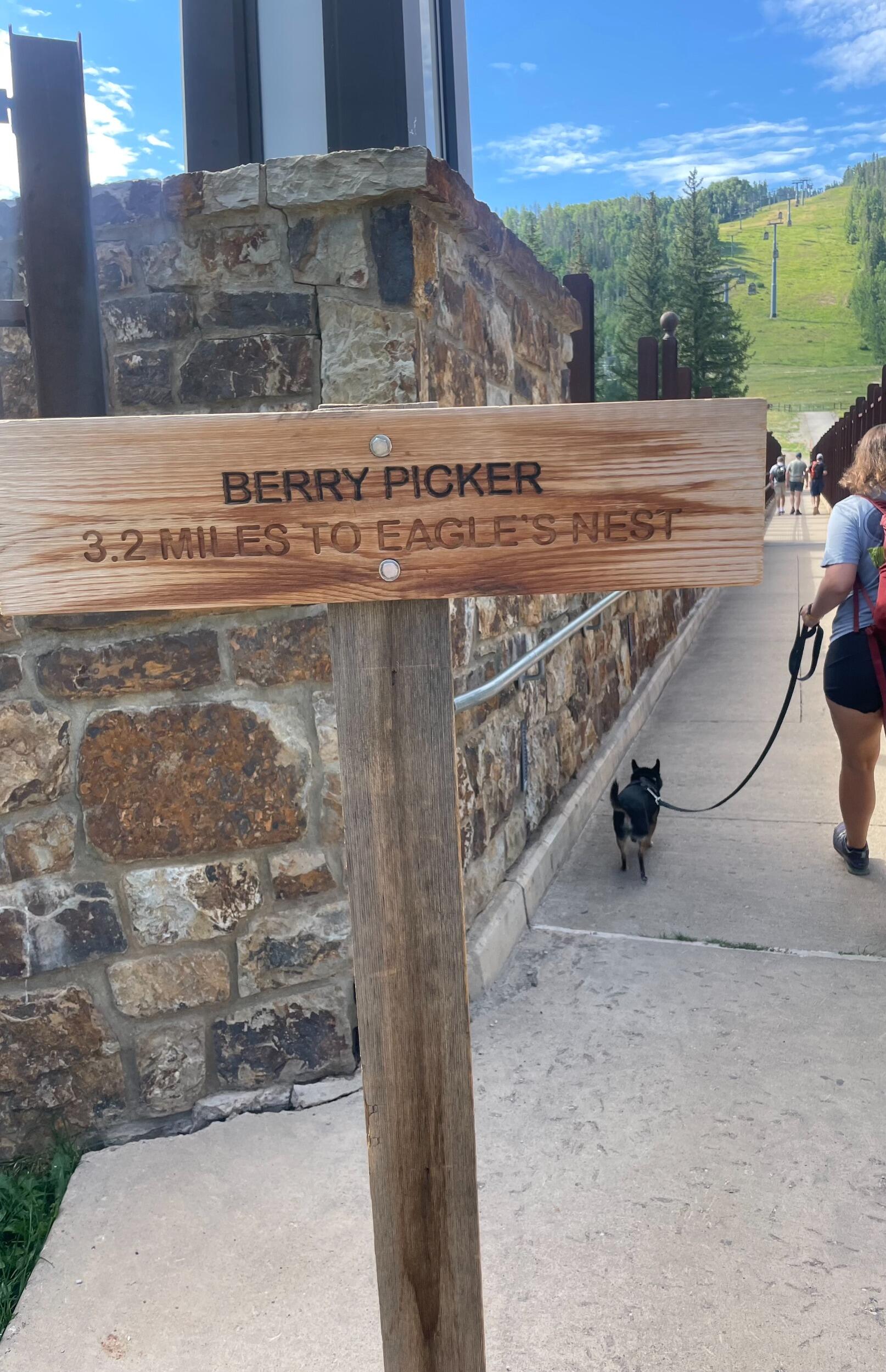 Picture of Berry Picker Trailhead