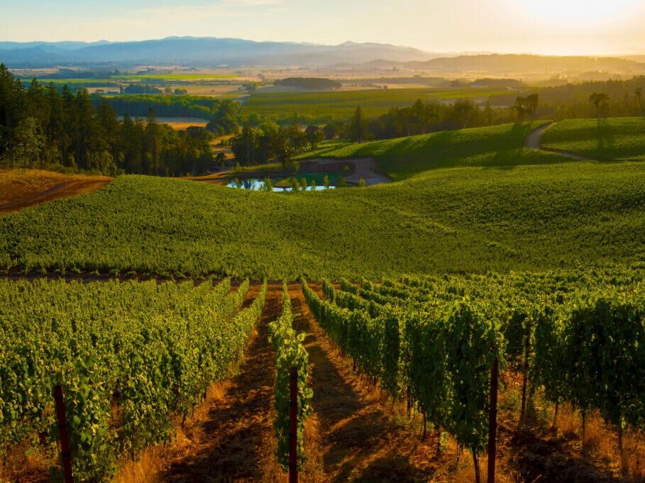 Picture of Eola Hills Wine Cellars