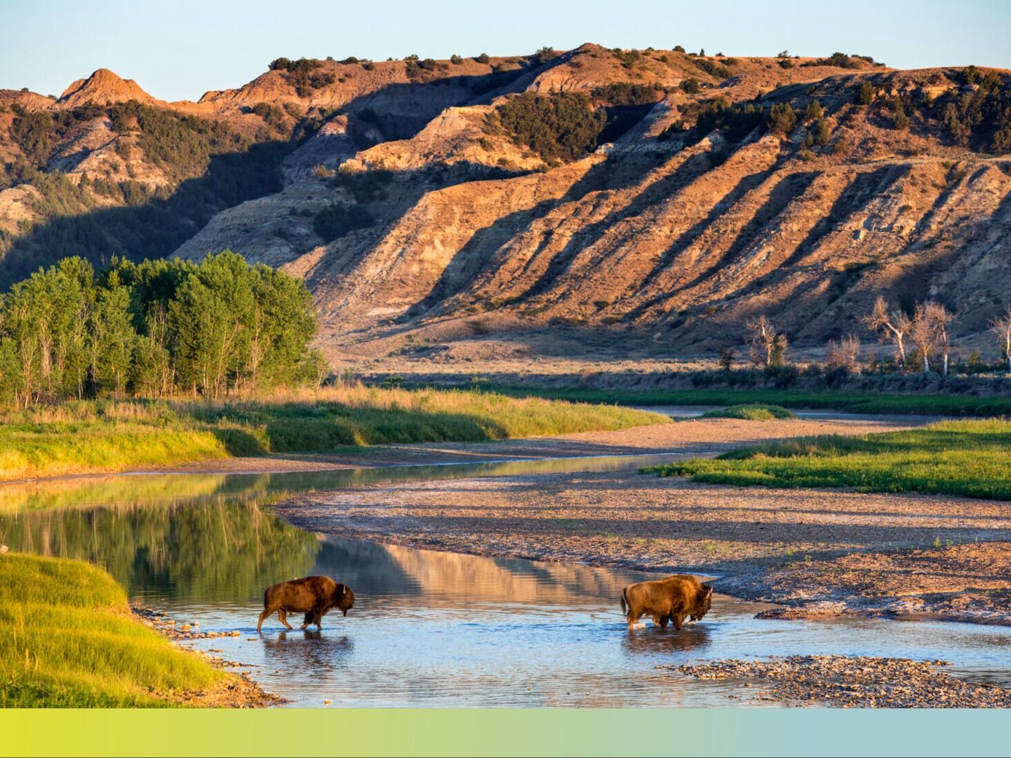 Picture of Theodore Roosevelt National Park