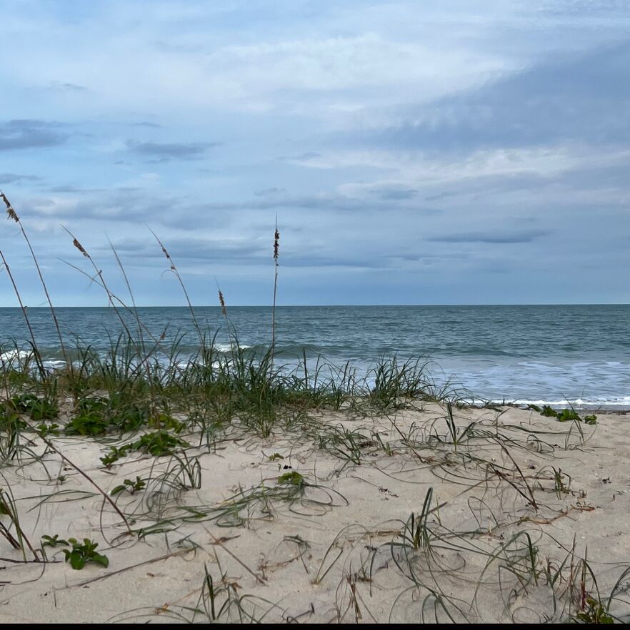 Picture of Avalon State Park