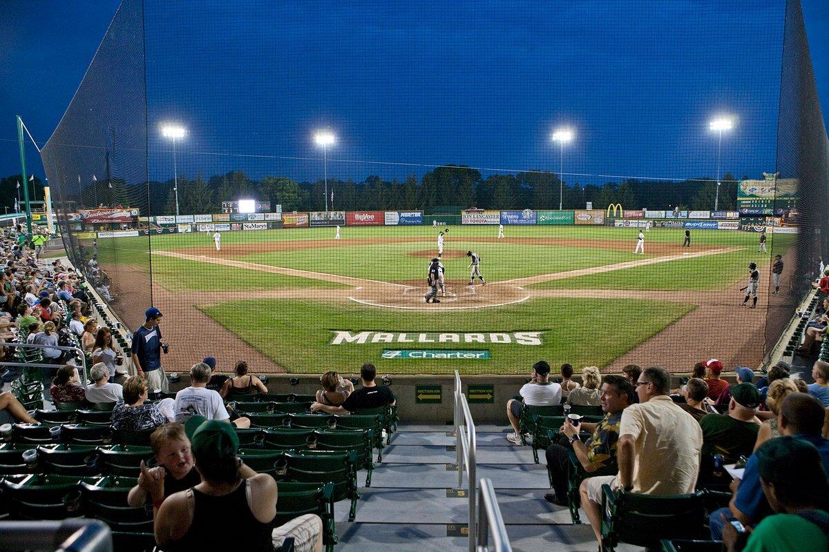 Picture of Madison Mallards