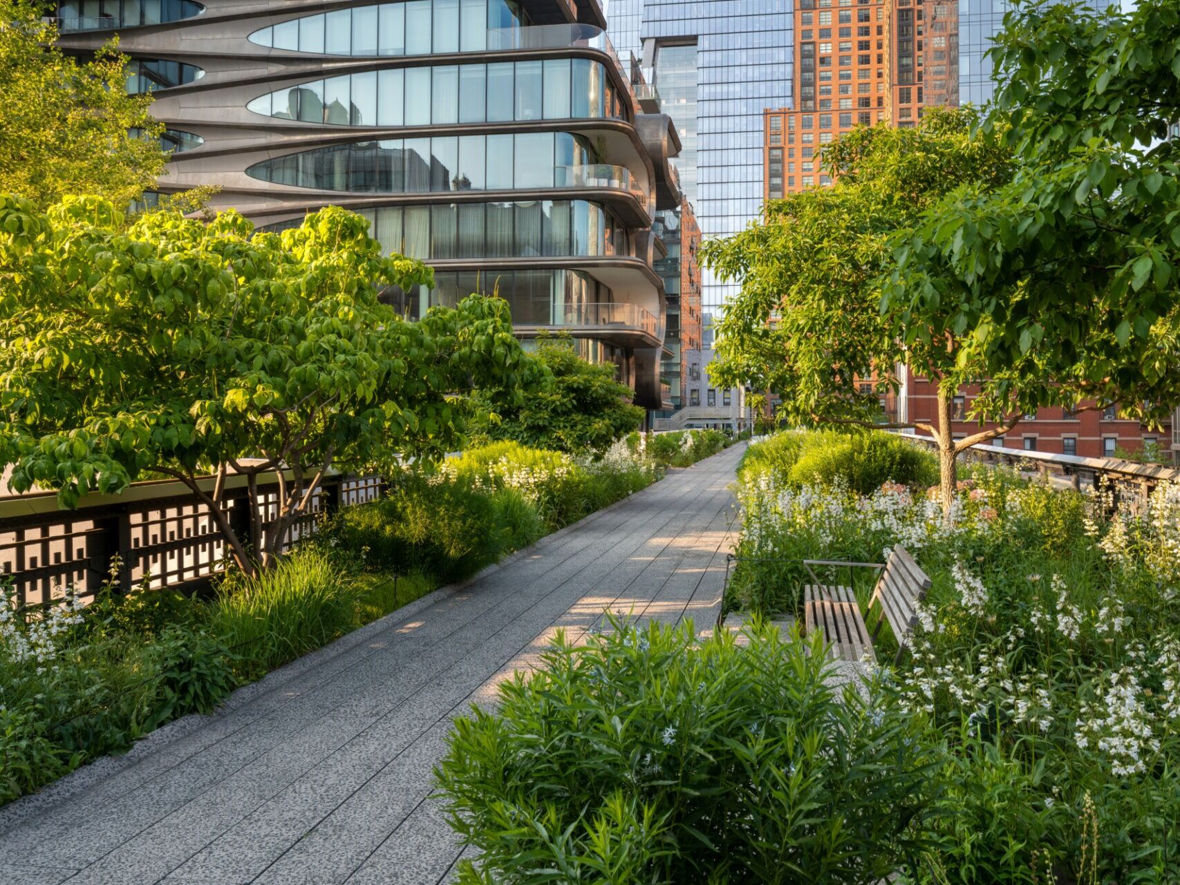 Picture of The High Line