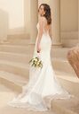 AW Bridal AW Apiacere Wedding Dress Mermaid Wedding Dress - thumbnail - 7