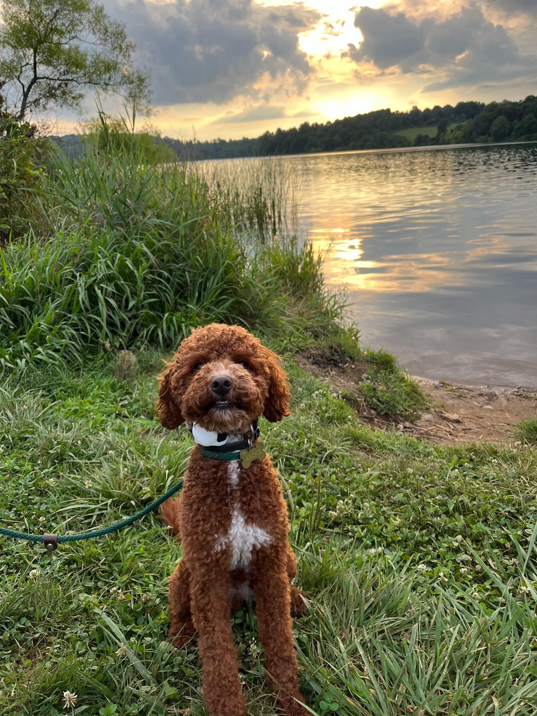 Picture of Marsh Creek State Park