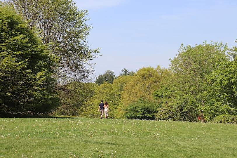 Alison & Brendan Home Page Banner
