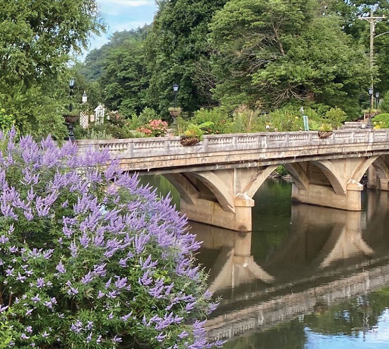 Picture of Lake Lure Flowering Bridge