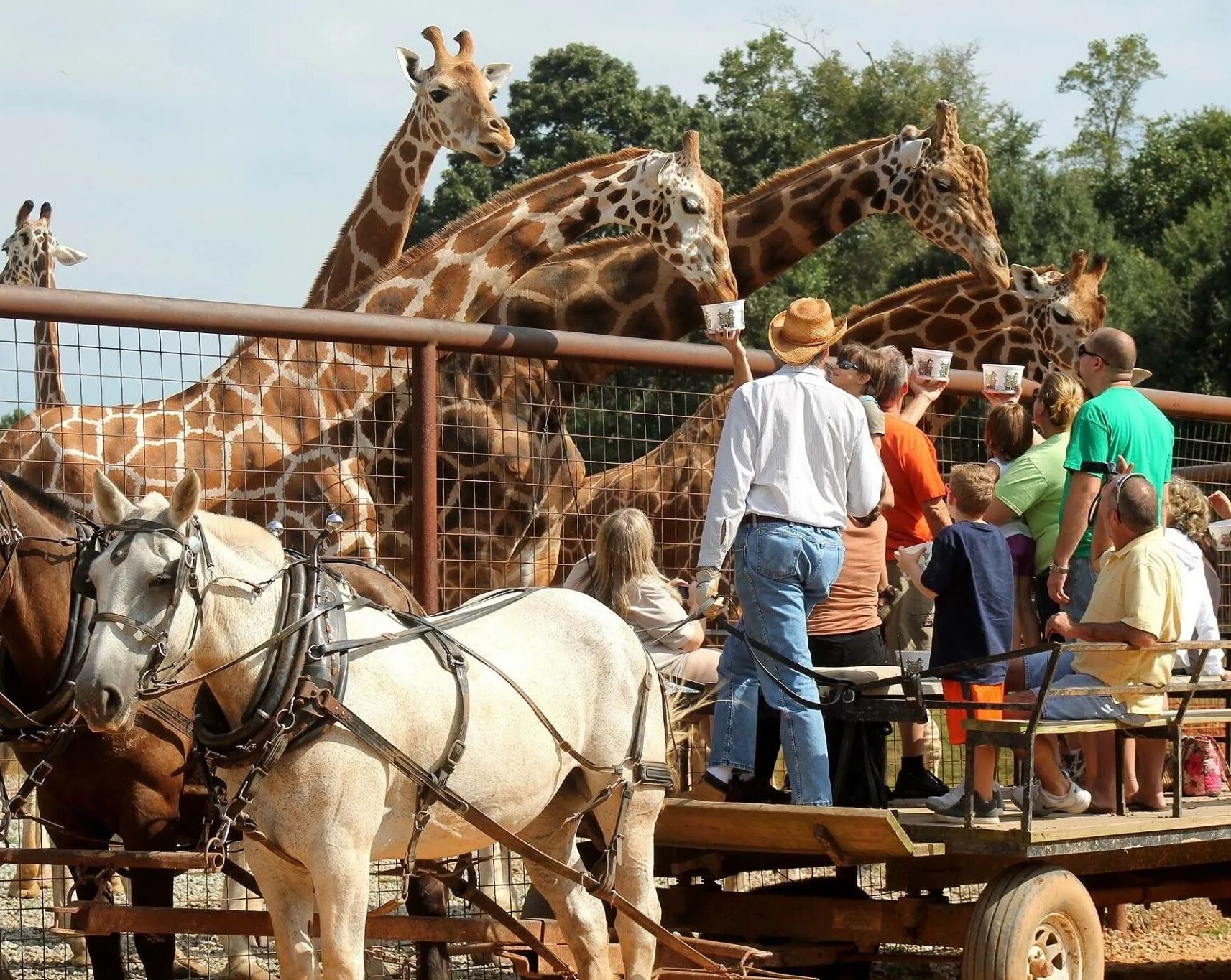 Picture of Lazy 5 Ranch