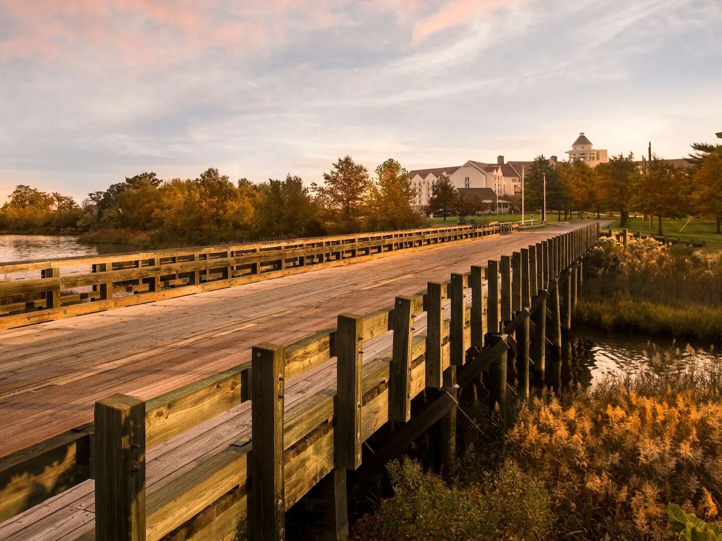 Picture of Hyatt Regency Chesapeake Bay Golf Resort, Spa And Marina
