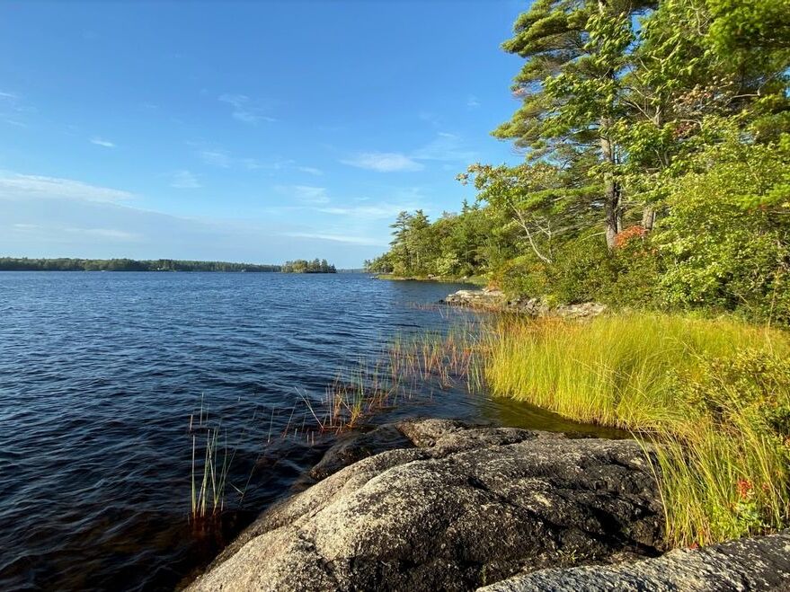Picture of Pemaquid Pond Preserve
