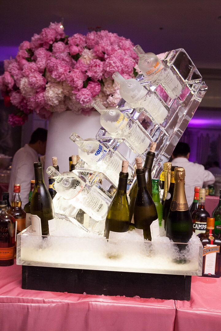 Reception Ice Bar