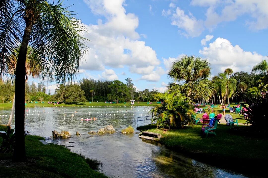 Picture of Warm Mineral Springs Park