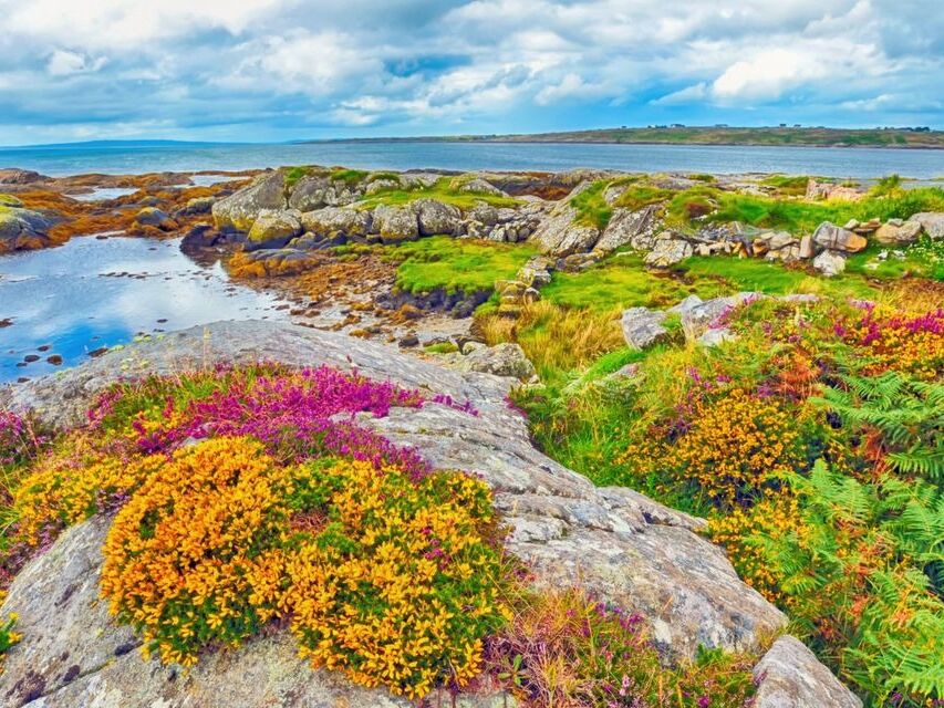Picture of The Burren