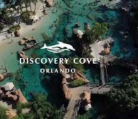 Picture of Discovery Cove Orlando