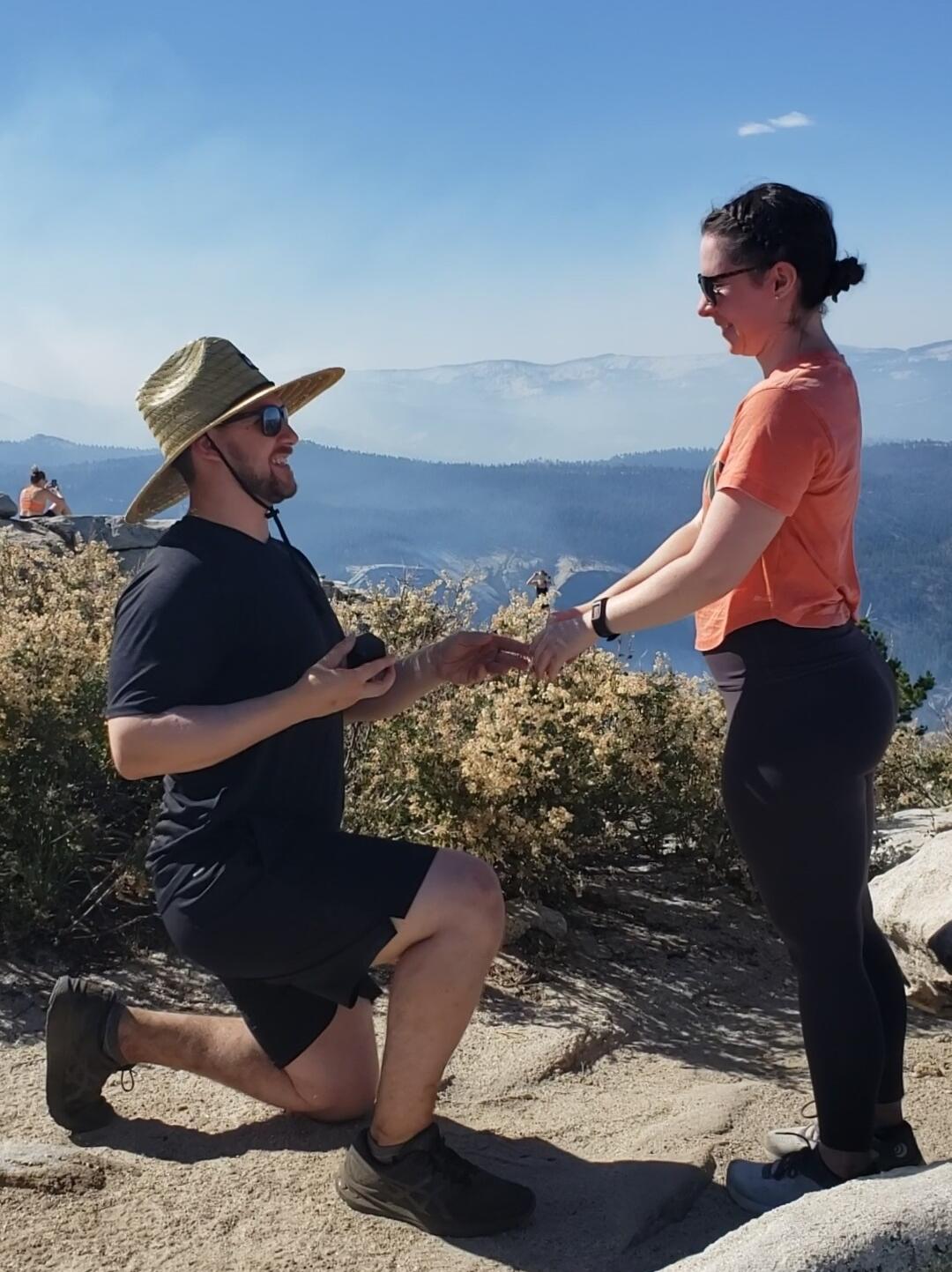 Picture of The Proposal
