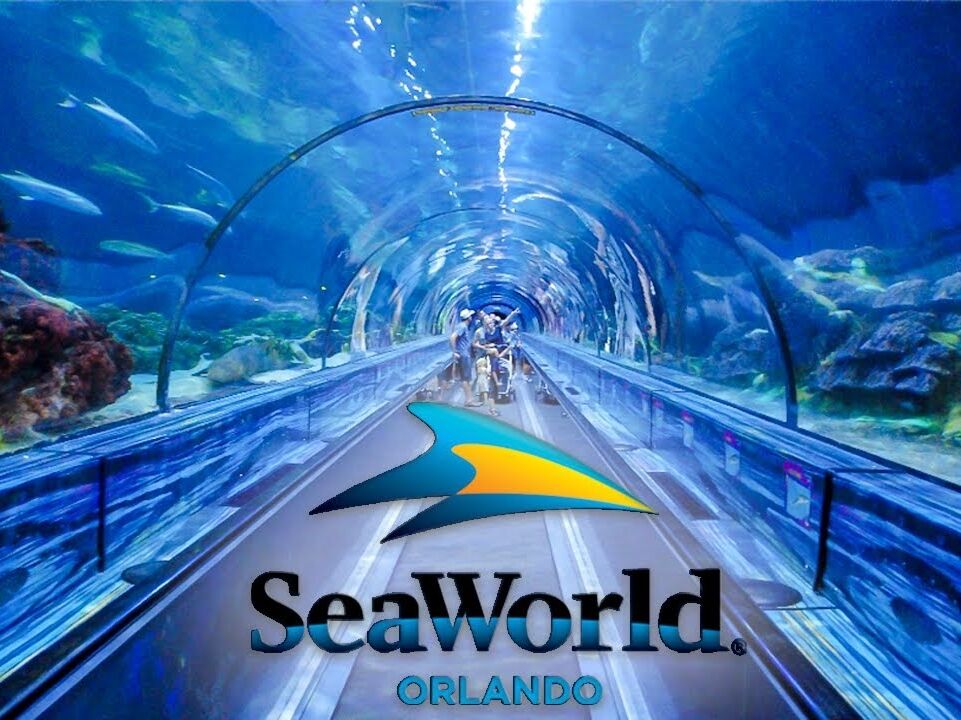 Picture of SeaWorld Orlando