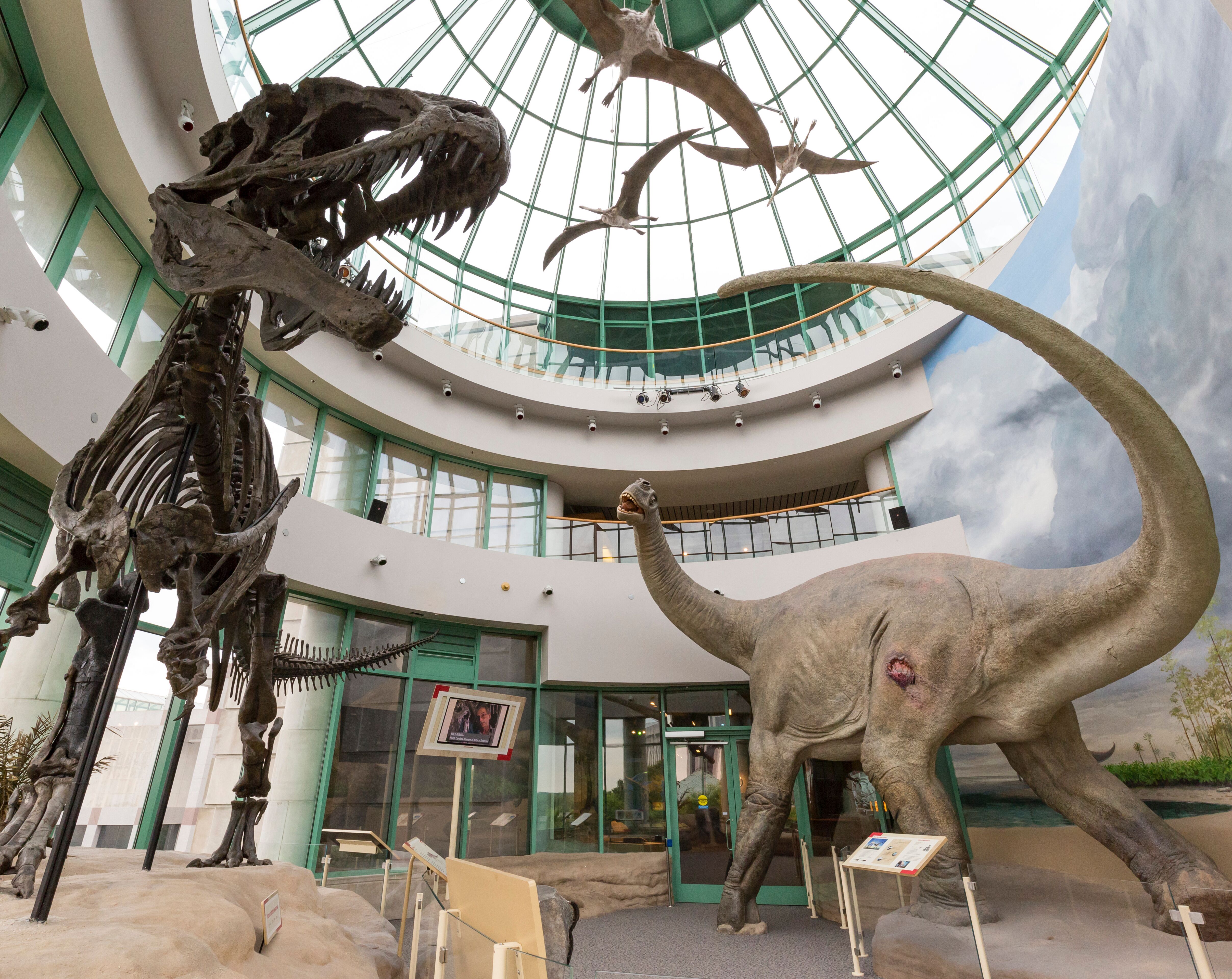 Picture of North Carolina Museum of Natural Sciences