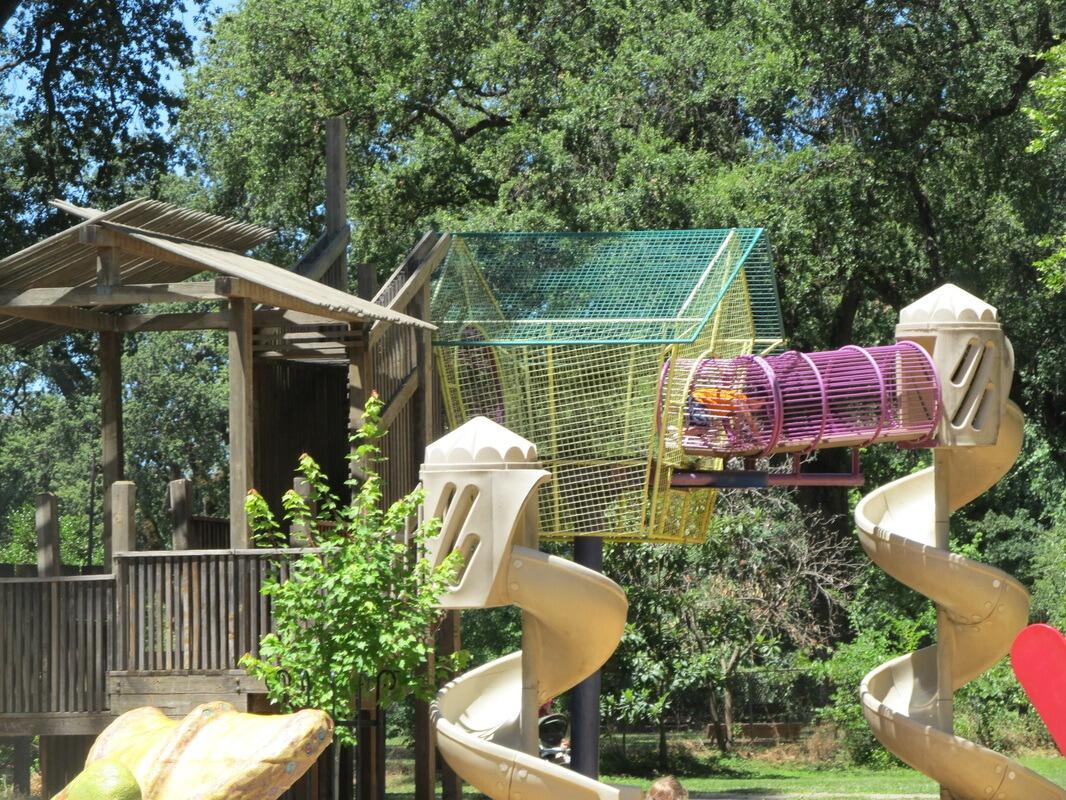 Picture of Caper Acres