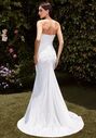 Ladivine CD791W Fit-and-Flare Wedding Dress - thumbnail - 2