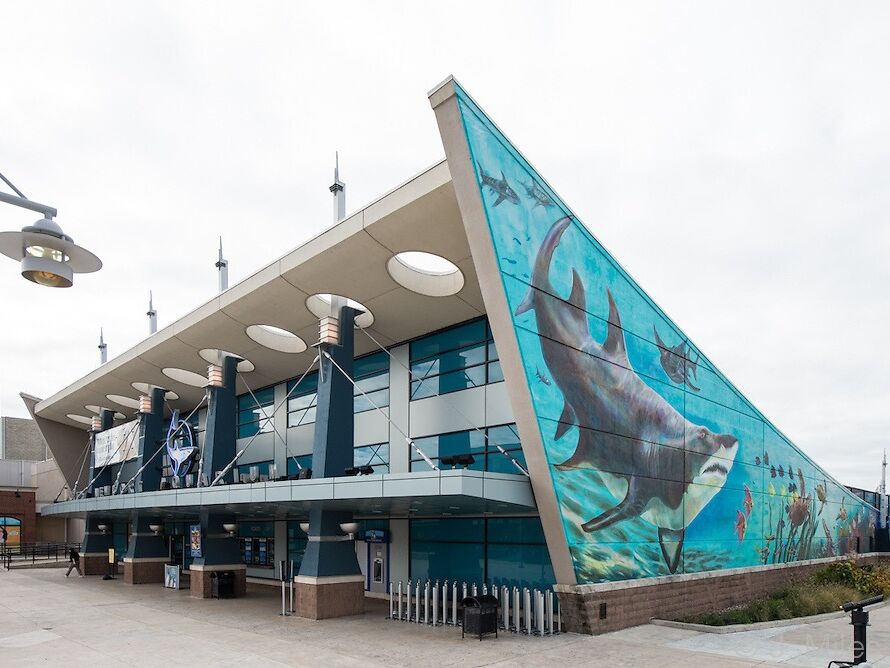 Picture of Newport Aquarium