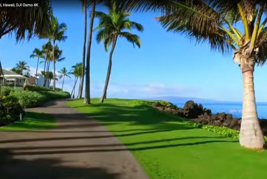 Picture of WAILEA BEACH