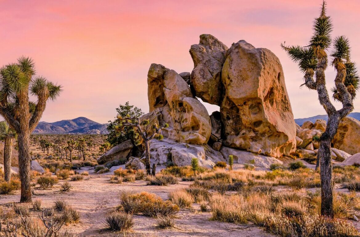 Picture of Joshua Tree National Park