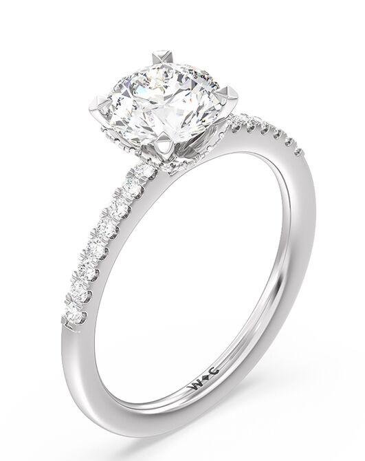 With Clarity Unique Princess, Cushion, Emerald, Heart, Radiant, Round, Oval Cut Engagement Ring - 2