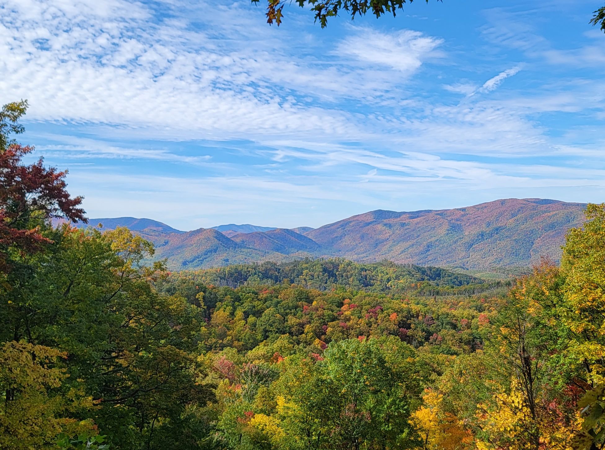 Picture of Roaring Fork Motor Nature Trail
