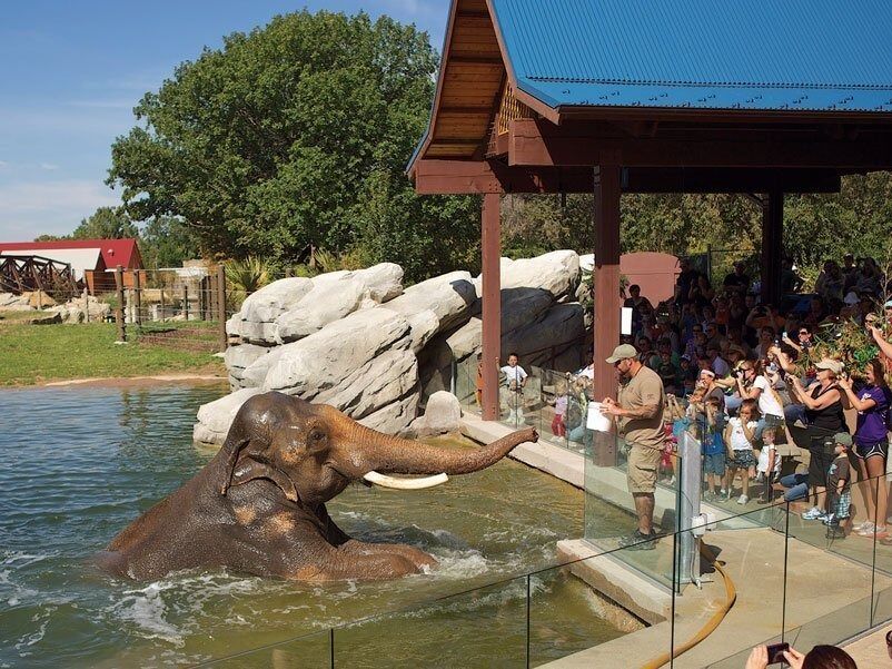 Picture of Denver Zoo