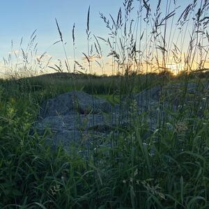 Gallery Photo 46