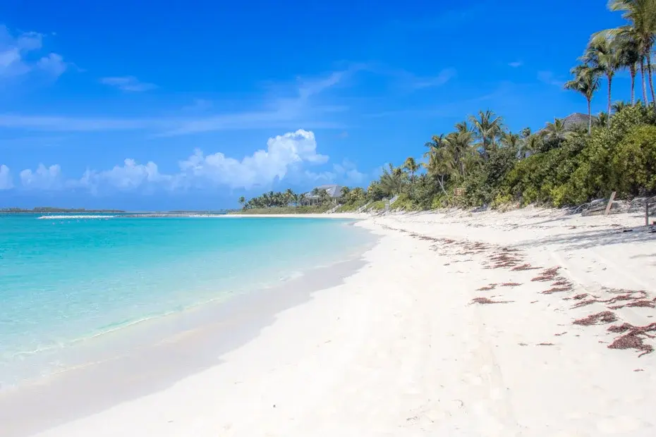 Picture of Cabbage Beach