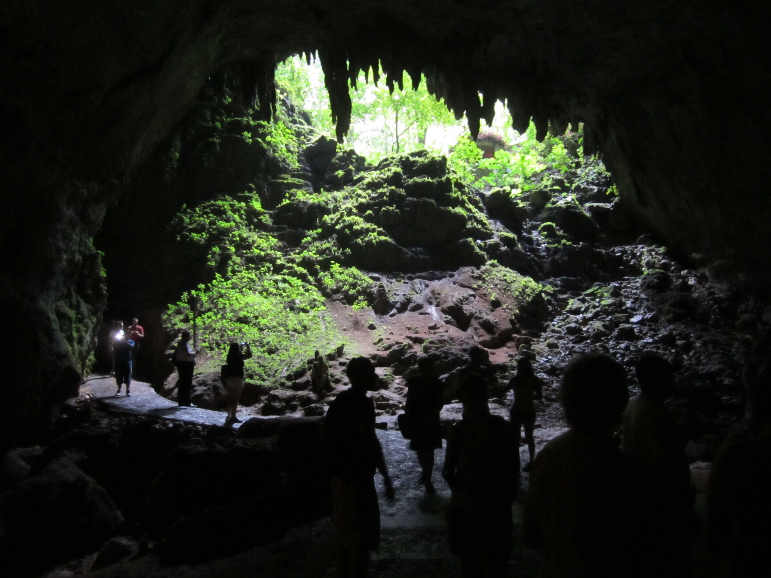 Picture of Parque Nacional de las Cavernas del Río Camuy