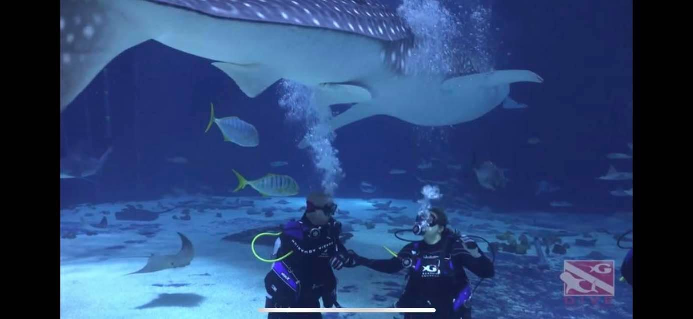 Picture of Georgia Aquarium